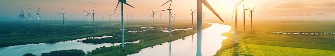 Avian Ecology Ltd banner