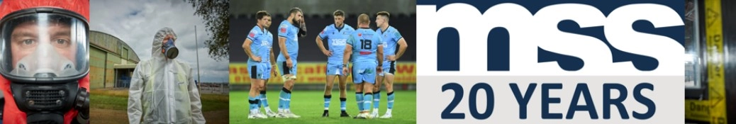 The Mss Group banner