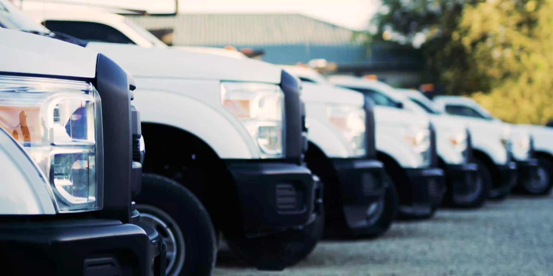 Cutting Edge Landscape