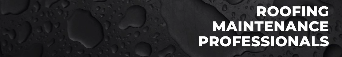 Wolf & Wolf Roof Services banner