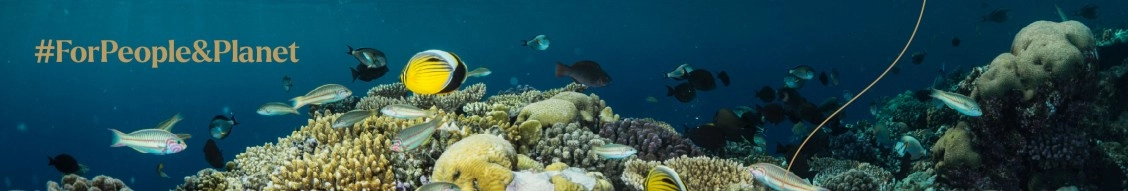 Red Sea Global