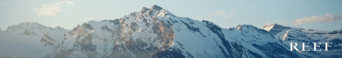 Reef banner