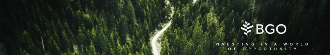 Bgo banner