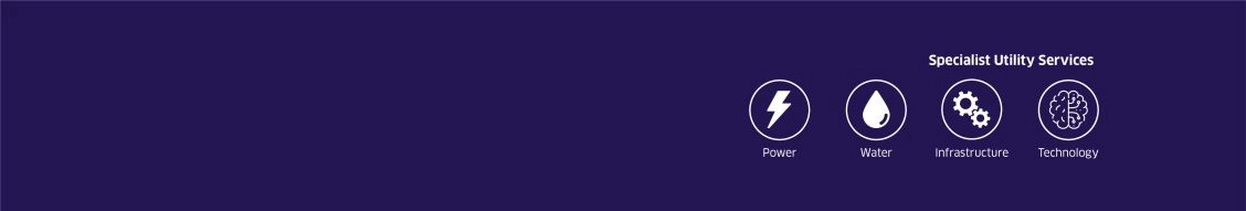Ipsum