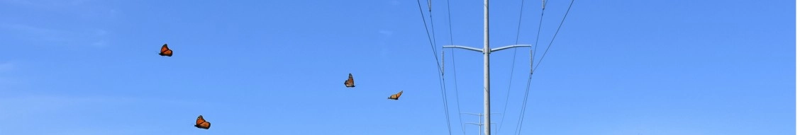 Atc