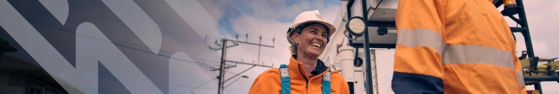 Sa Power Networks banner