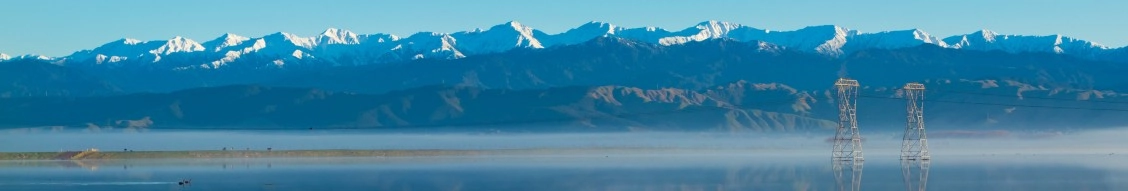 Transpower New Zealand banner