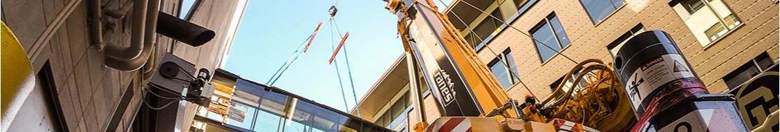 Rms Cranes banner