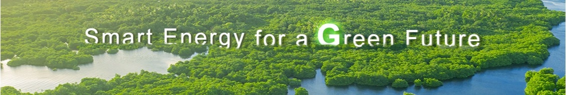 Growatt New Energy