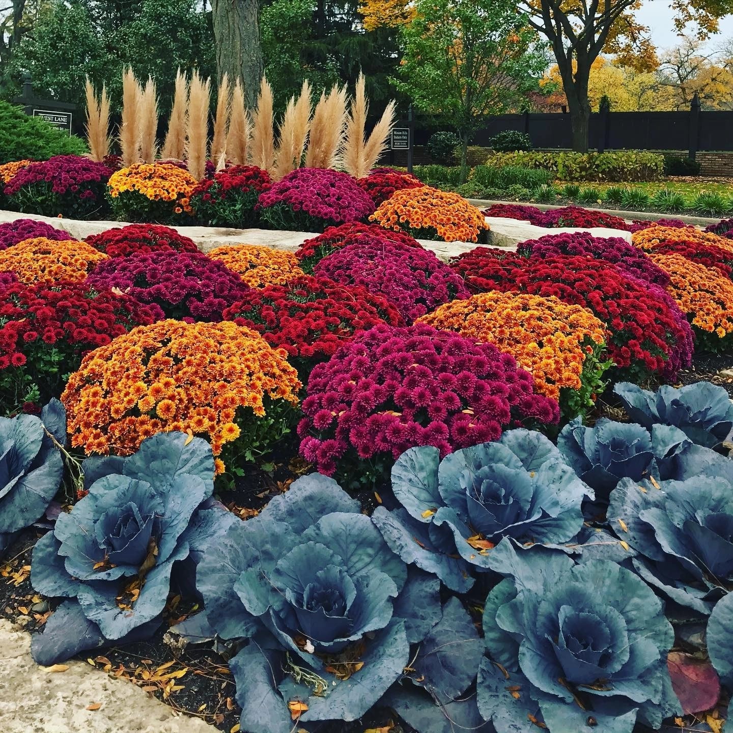 landscape concepts management