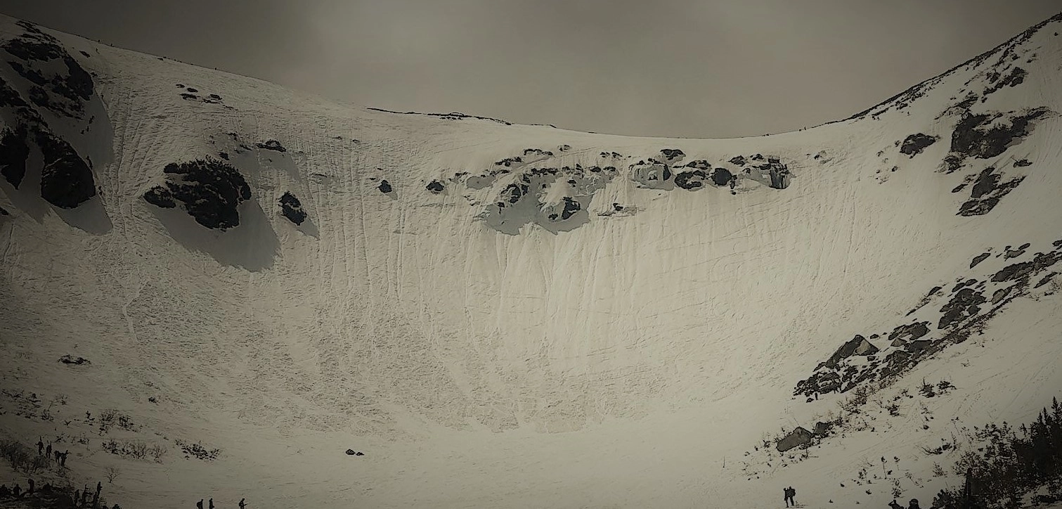 Tuckerman Consulting banner