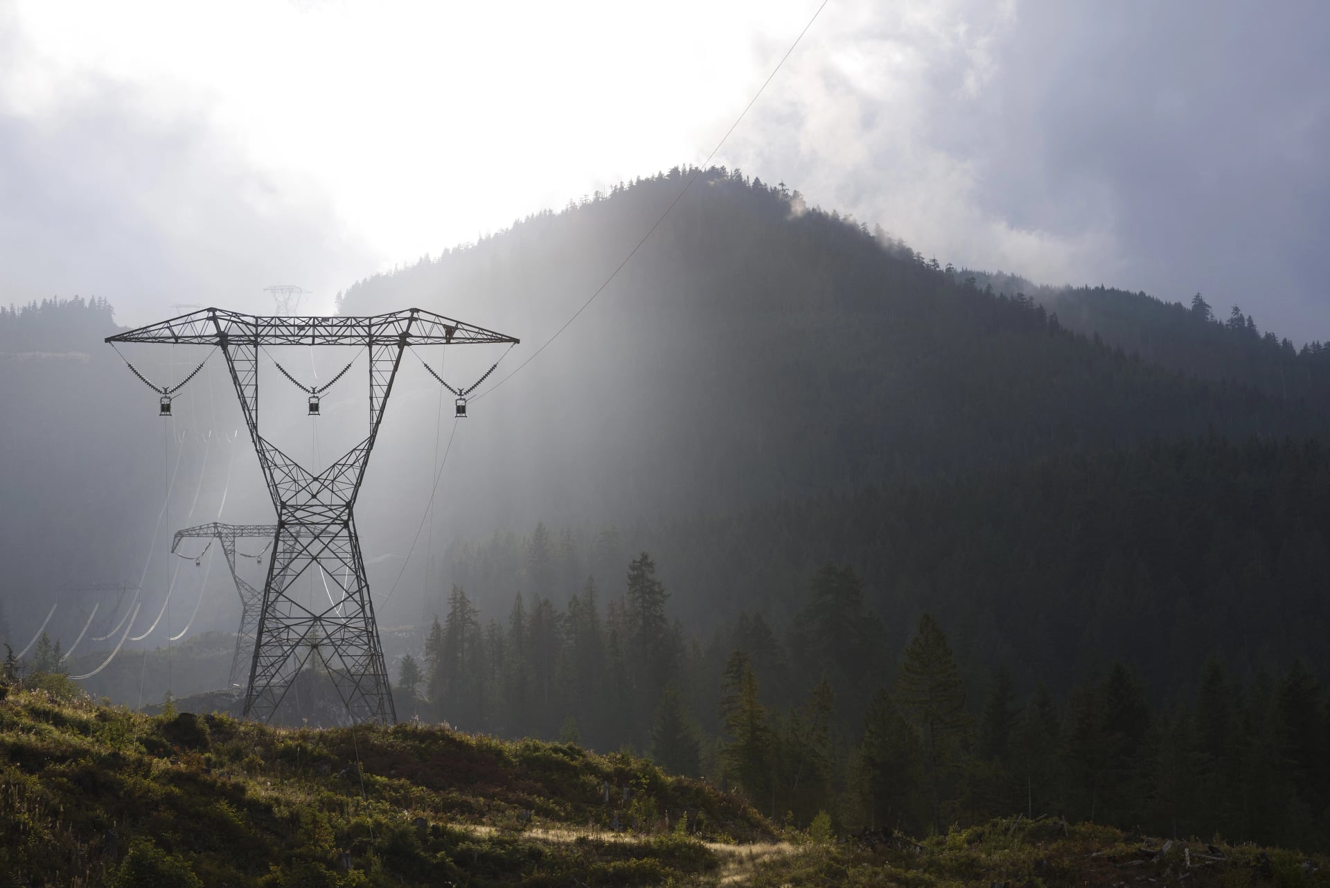 Forbes Bros. Group Of Companies banner