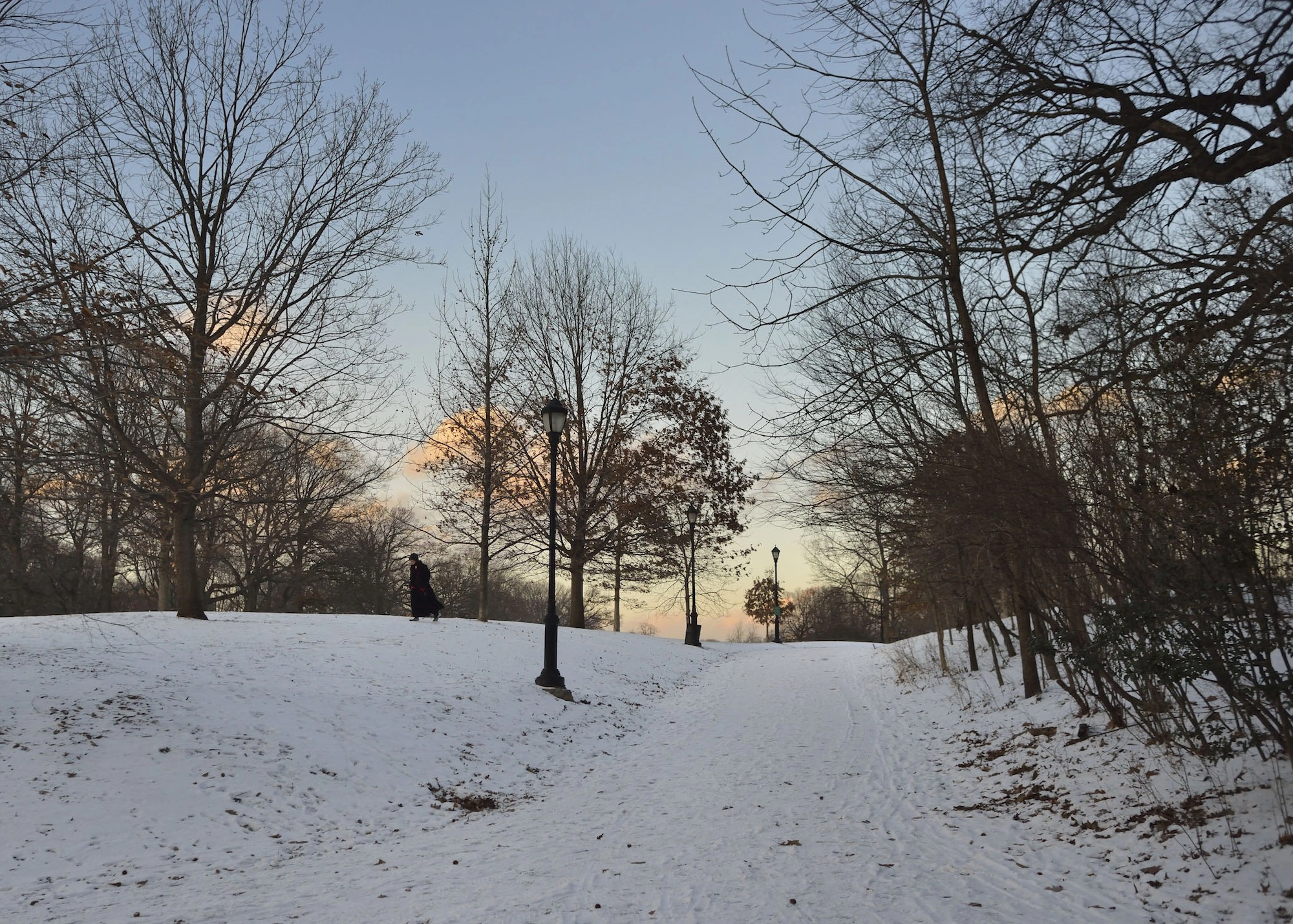 Prospect Park Alliance