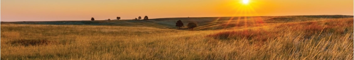 Tallgrass