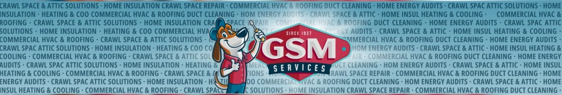 Gsm Services