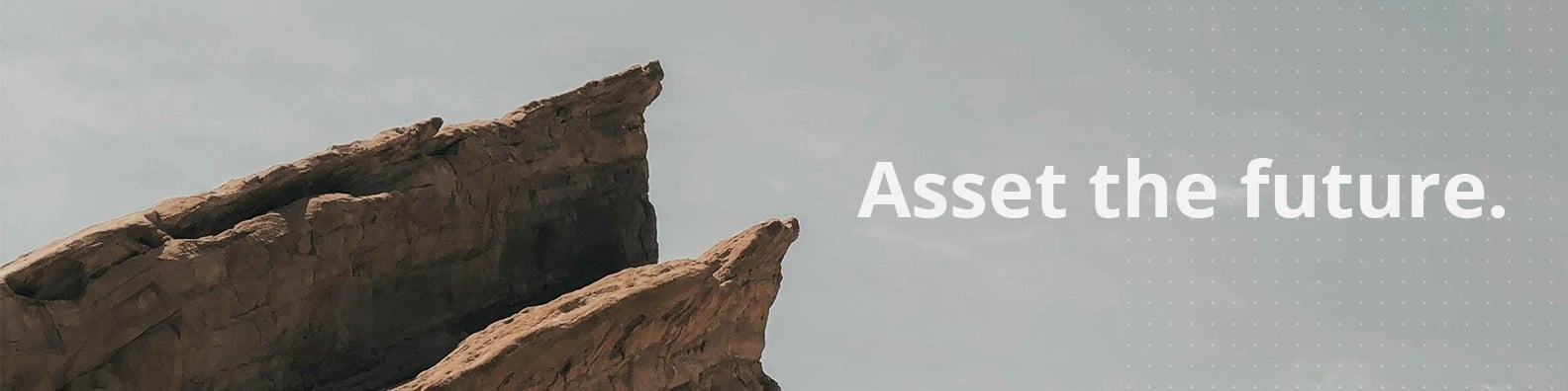 Nexgen Asset Management banner