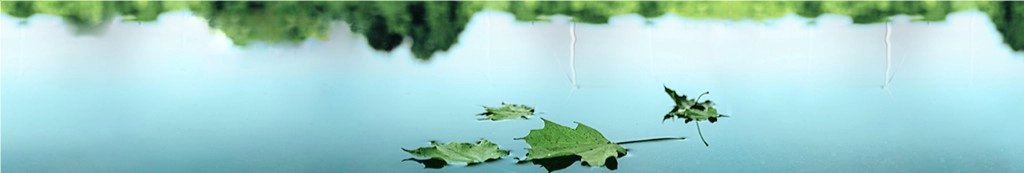 Pattern Energy banner