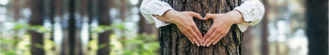 artius interior products (p) ltd. banner