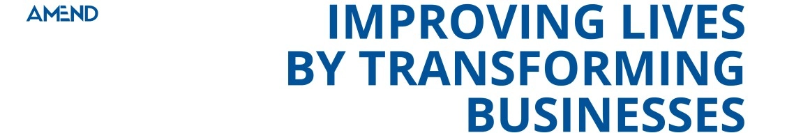 Amend Consulting banner