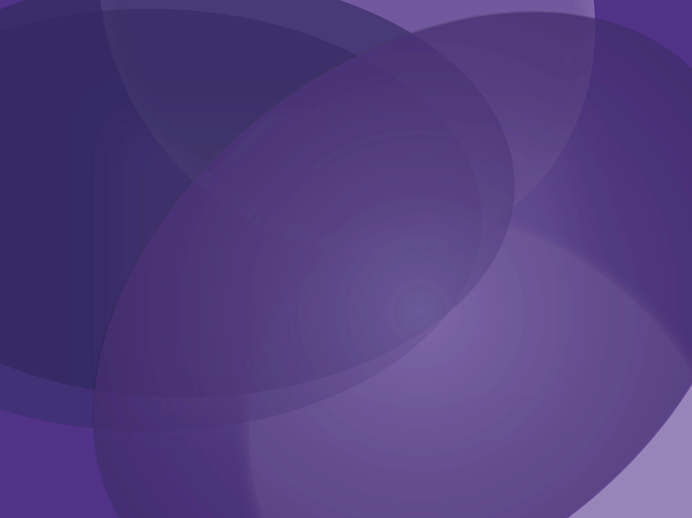 springboard media