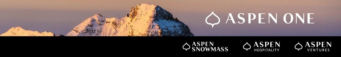 Aspen One