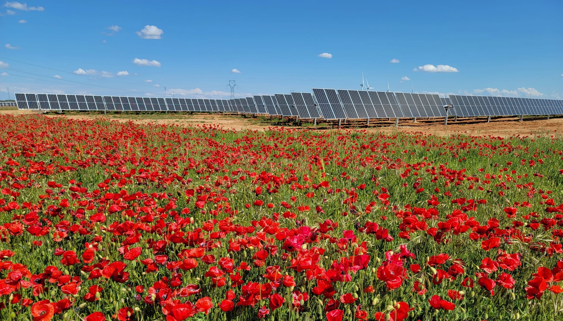 solaria energía y medio ambiente banner