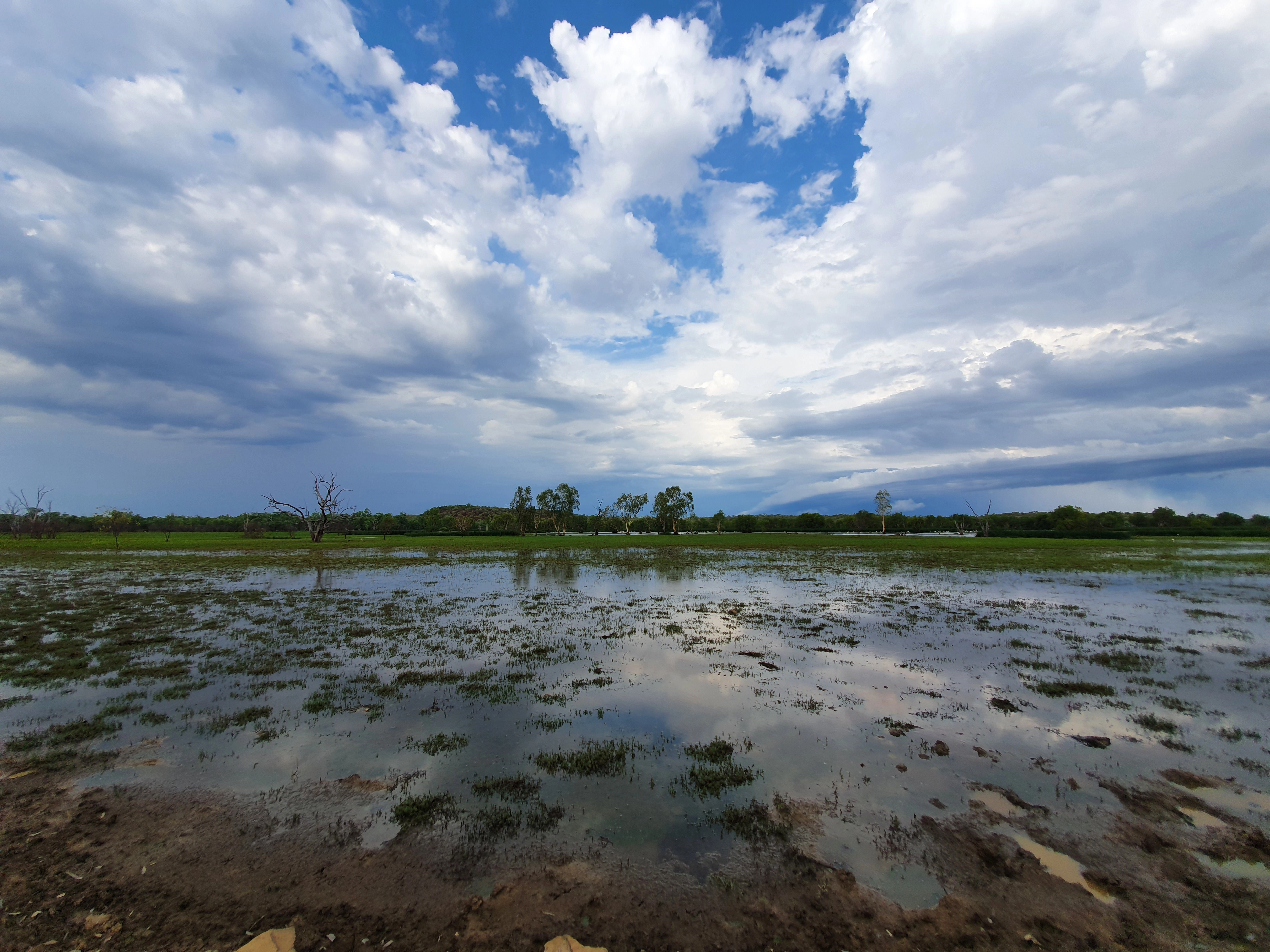 Epic Environmental banner