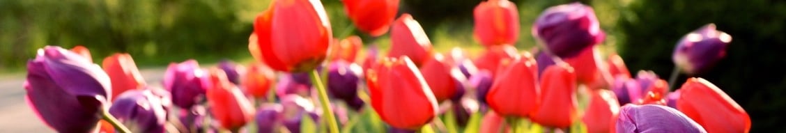 Lawrence Landscape Group banner