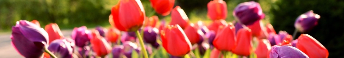 Lawrence Landscape Group