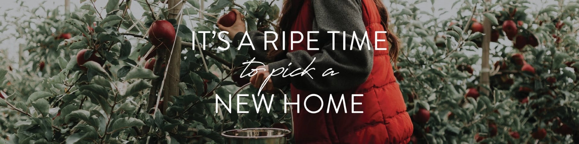 woods bros realty banner