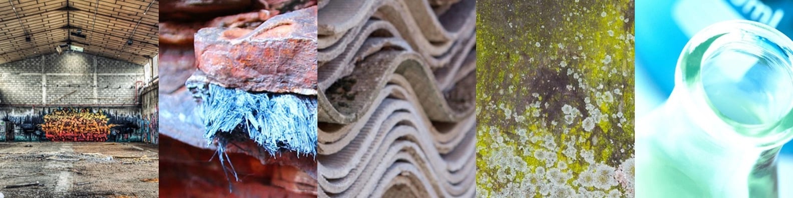 edp consultants australia banner