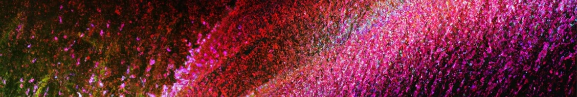 Boldyn Networks banner