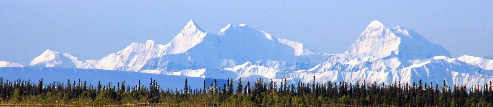 Doyon Government Group banner