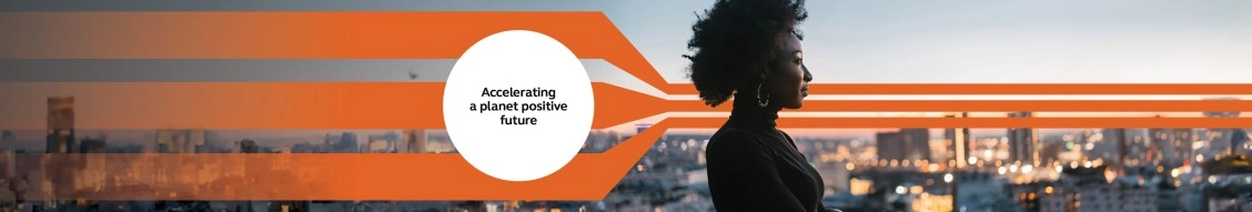 Arcadis