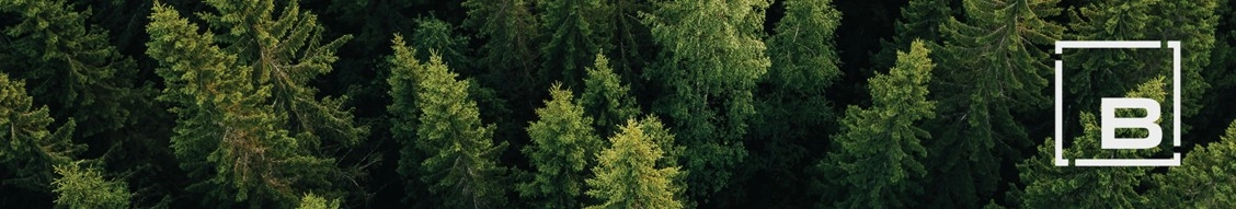 Braun Intertec Corporation banner