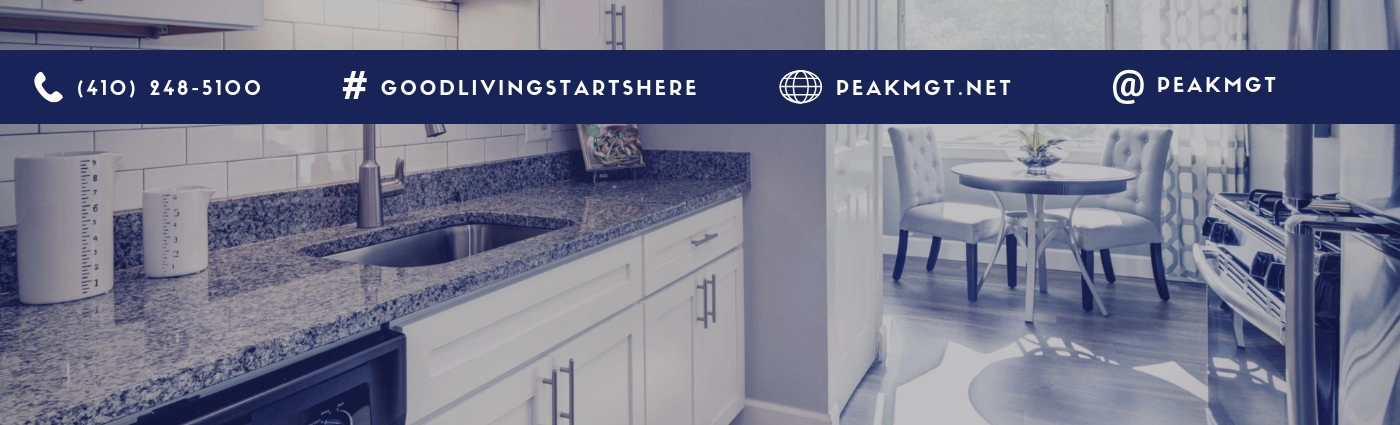 Peak Management Llc