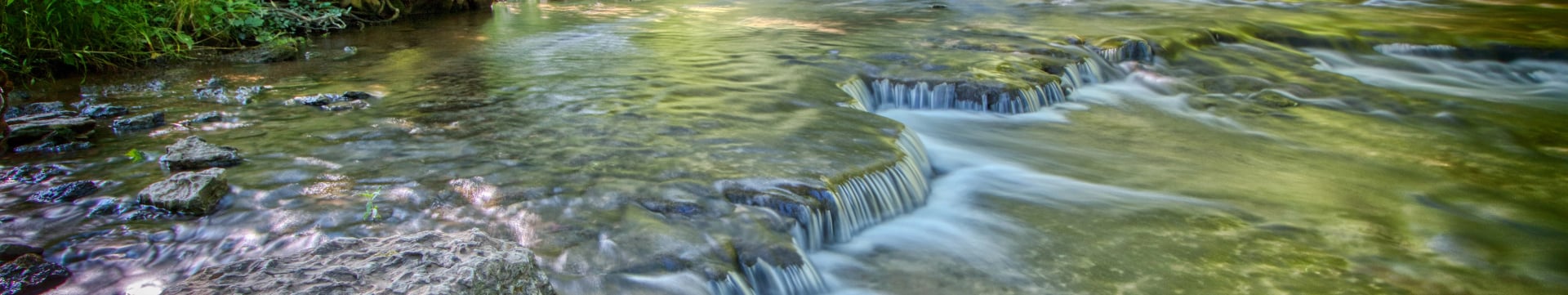 Louisville Msd banner