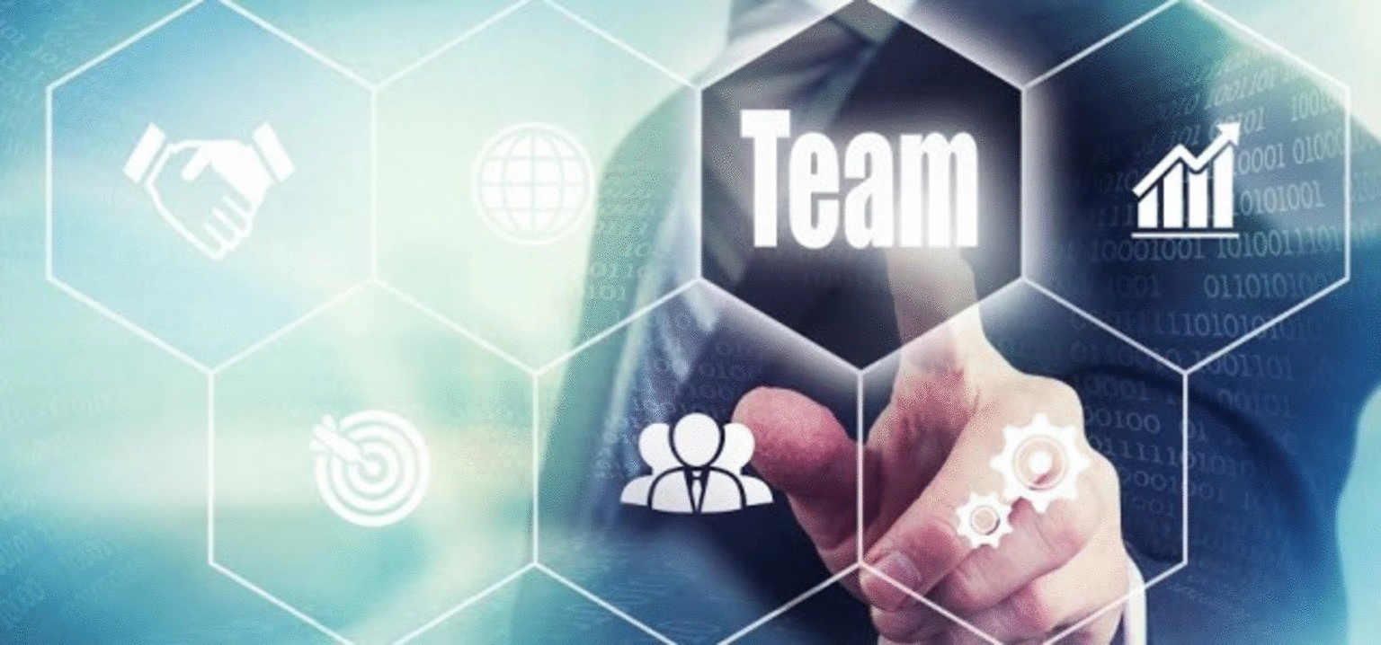 rays industrial inspection services (pvt.) ltd. banner