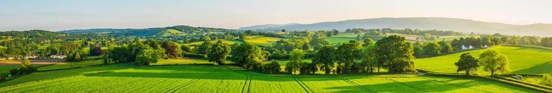 tsg consulting banner