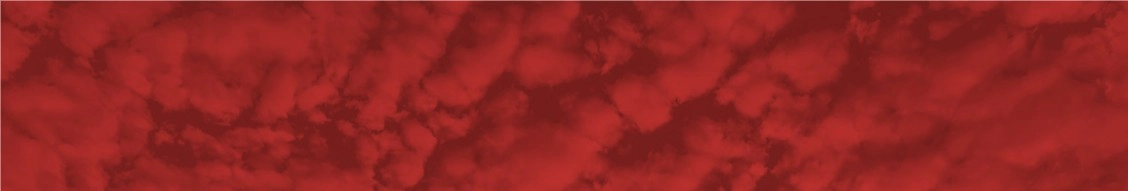 Chinook Systems Inc. banner