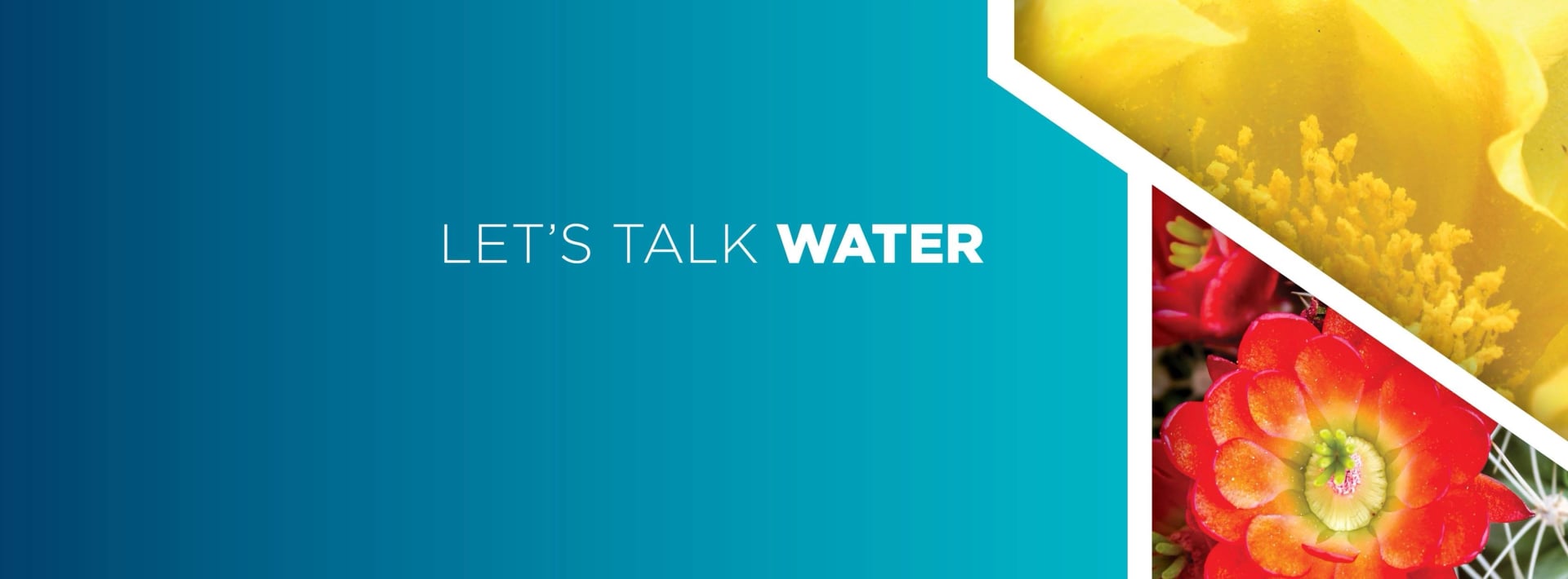 moulton niguel water district