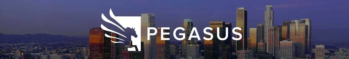 Pegasus banner