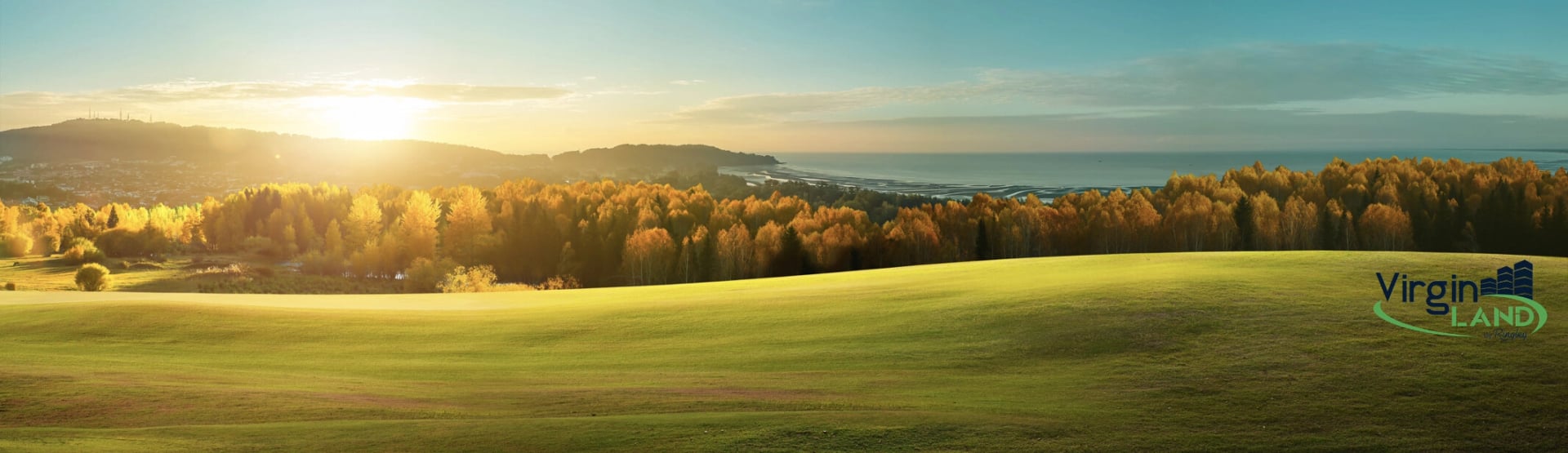 virginland by ringley banner