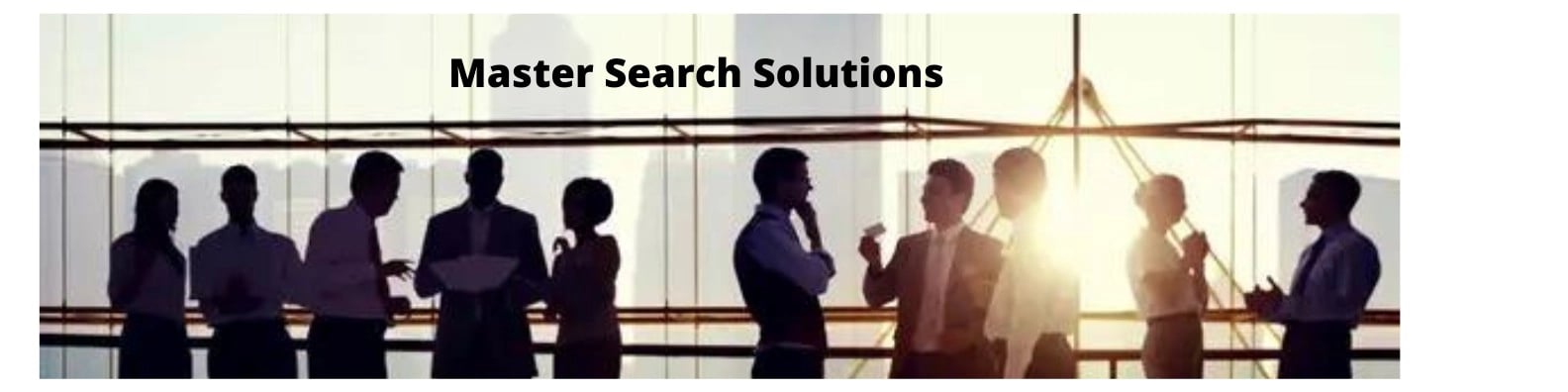 Master Search Solutions banner