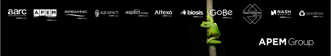 Apem Group banner