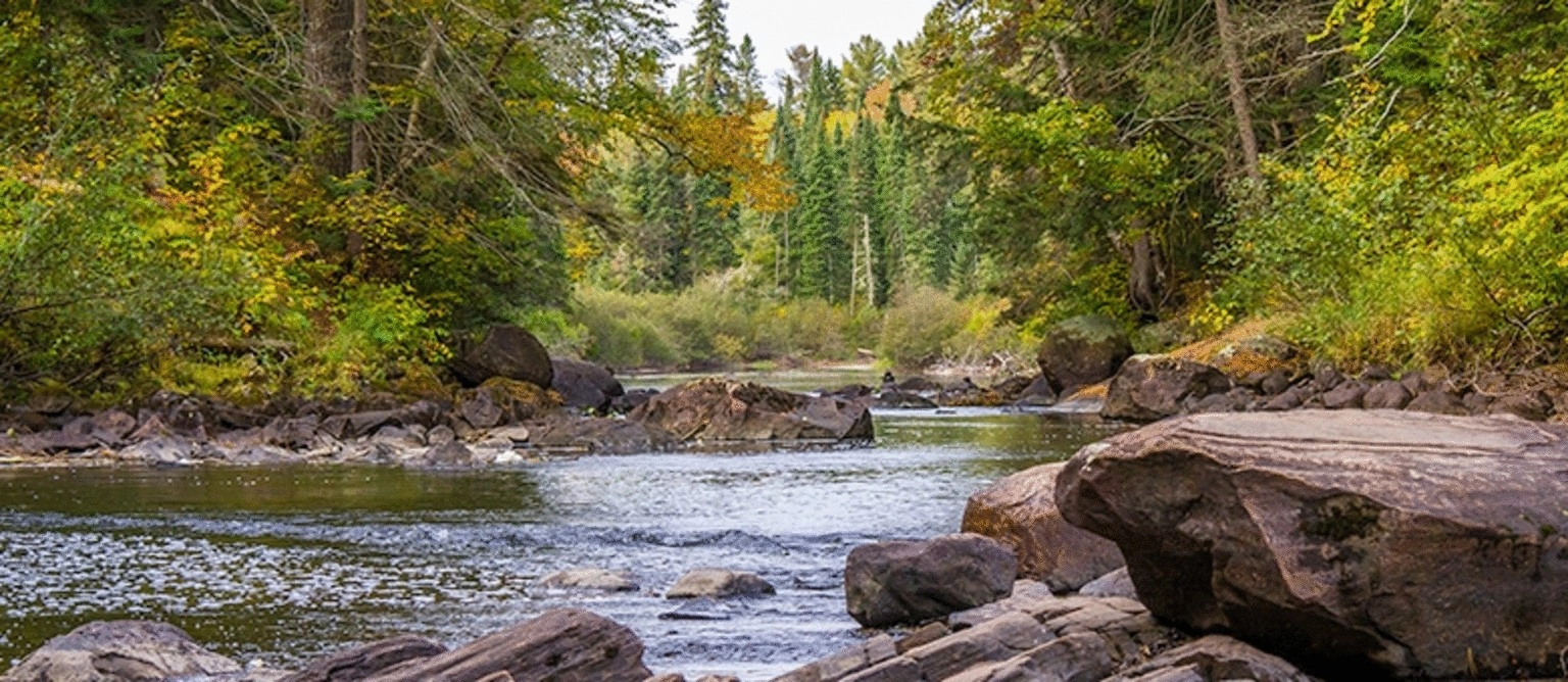 Helix Environmental Planning, Inc.