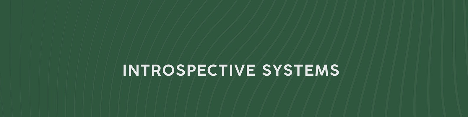 Introspective Systems Llc