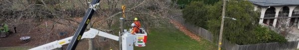 Ausgrid