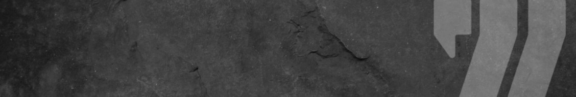 Weisiger Group banner