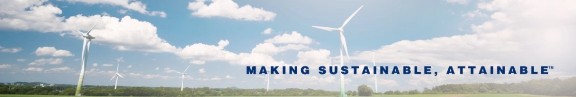 Rodan Energy Solutions Inc.